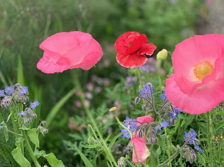 مبيت وإفطار The Croft Place Of Architectual Interest