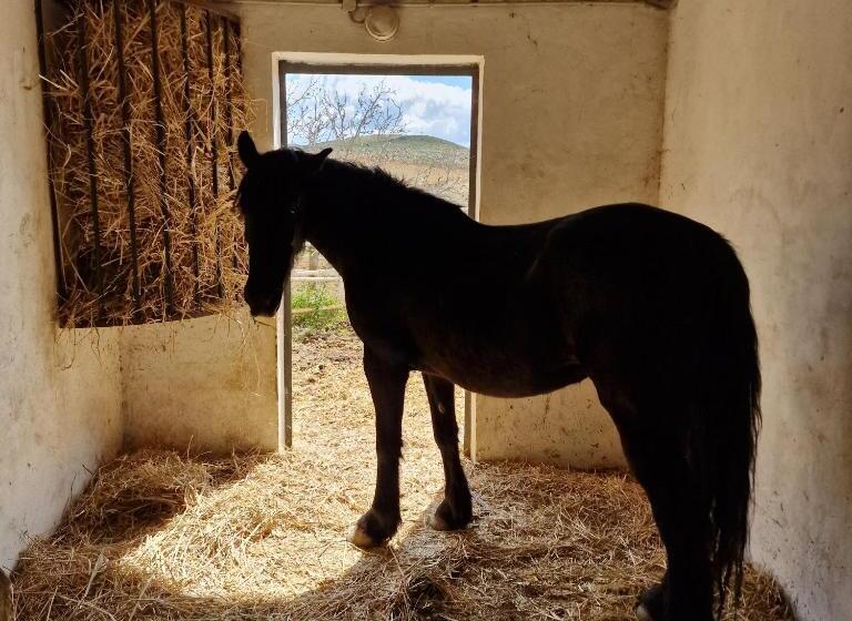 Agriturismo Il Drago