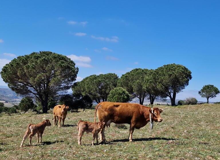 Agriturismo Il Drago
