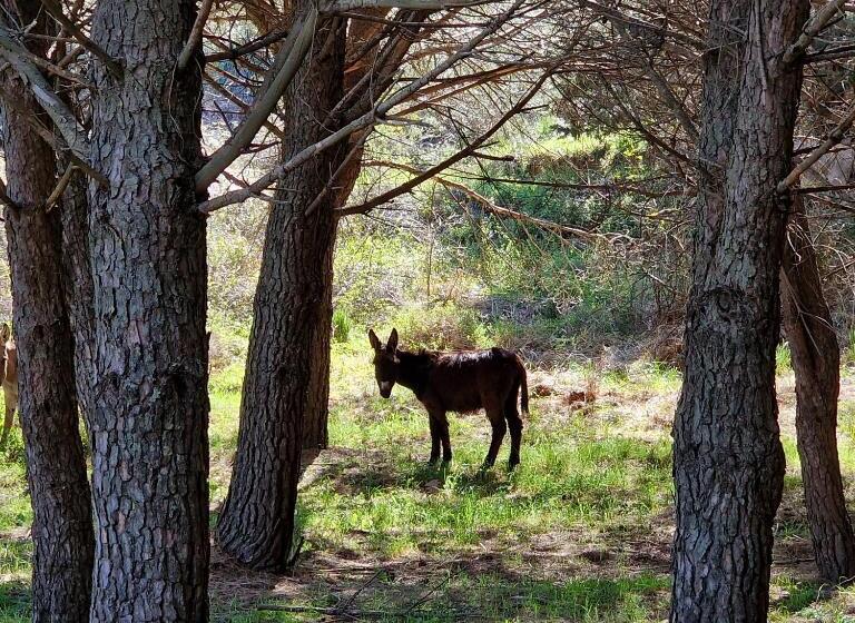 Agriturismo Il Drago