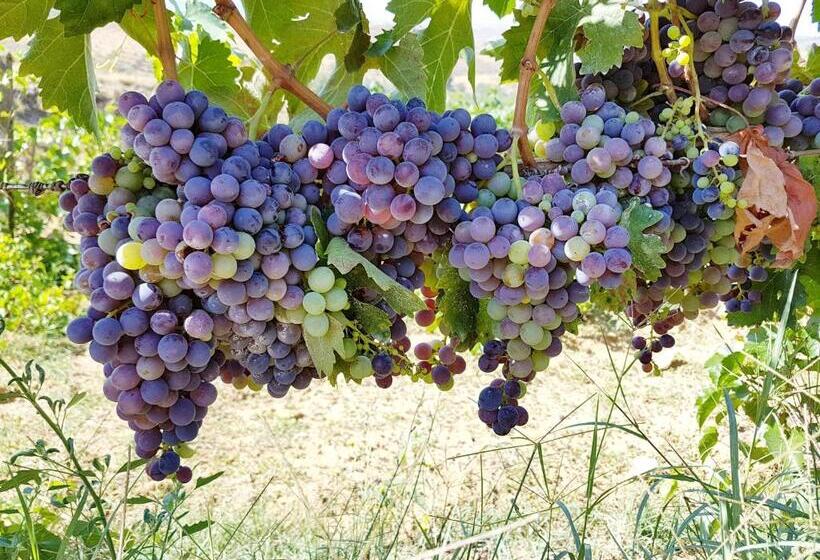 Agriturismo Il Drago