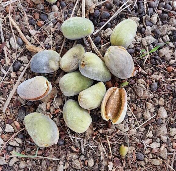 Agriturismo Il Drago