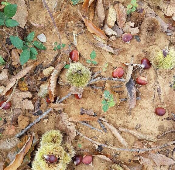 Agriturismo Il Drago