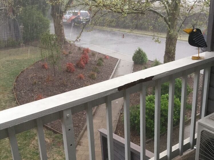 Bathurst Studio Apartments