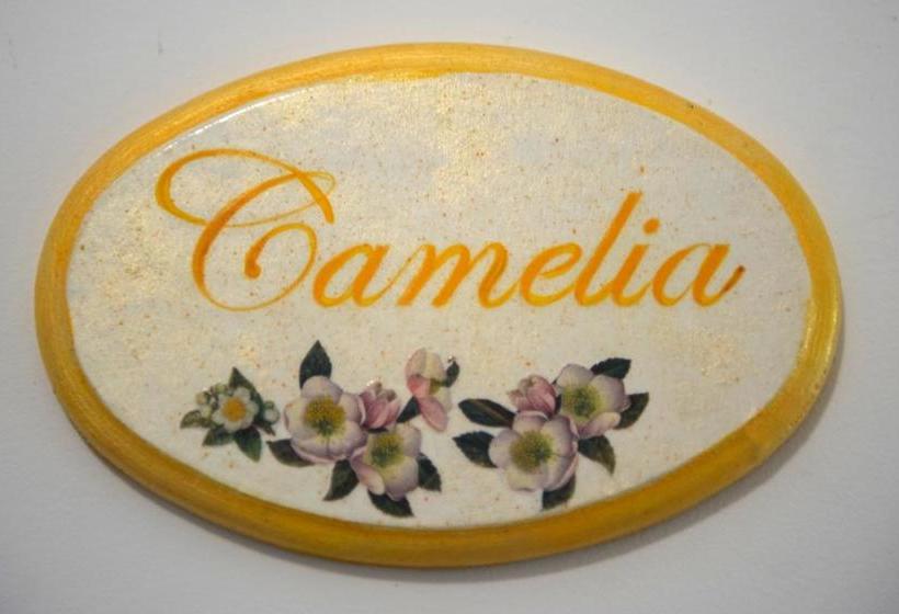 B&b Corte Dell' Immacolata