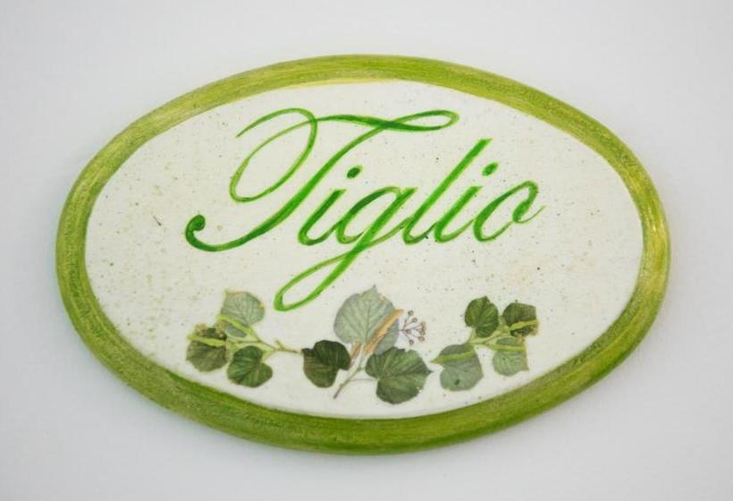 B&b Corte Dell' Immacolata