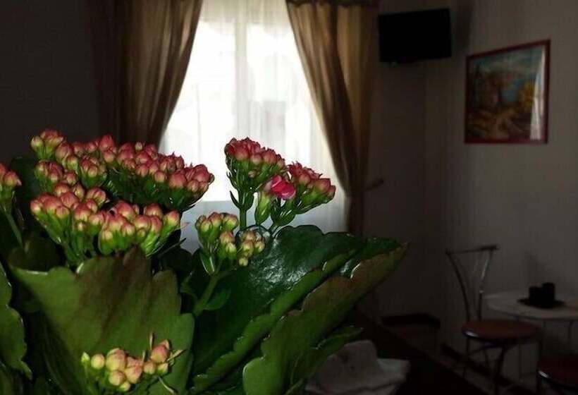 تختخواب و صبحانه Galleria Frascati Rooms And Apartment