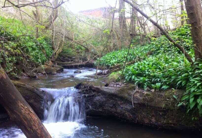 Bed and Breakfast The Steadings Log Cabins