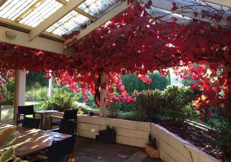 Bellevue Bed & Breakfast