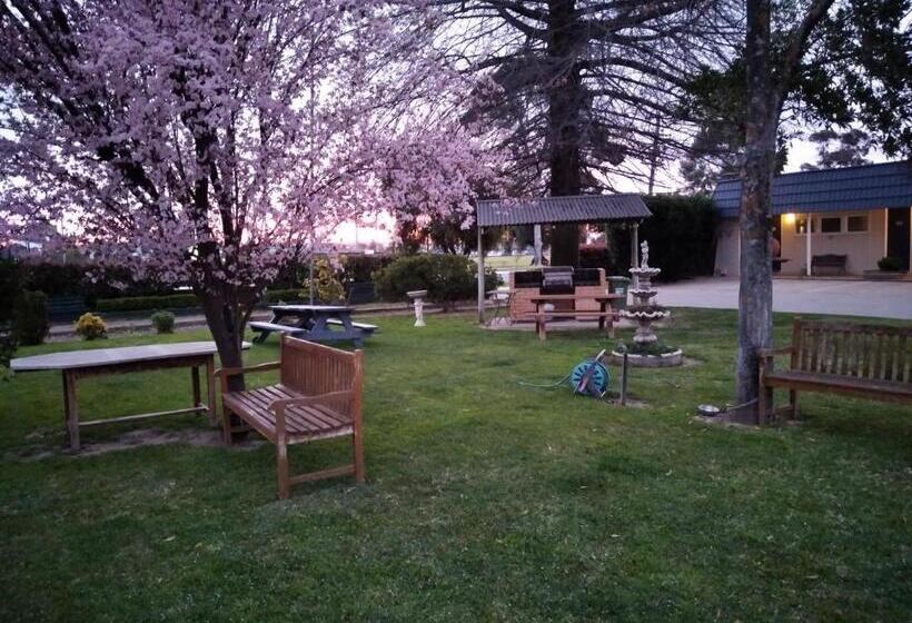 City Park Motel And Apartments