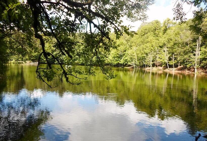 فندق Albergo San Giorgio
