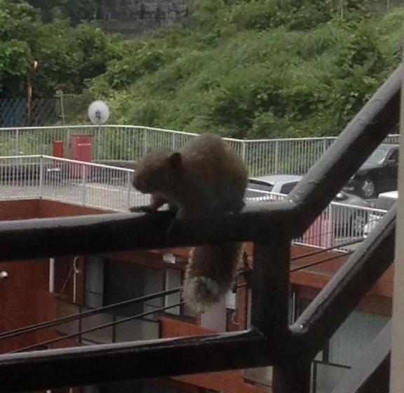 Отель Beach Commune Simploose