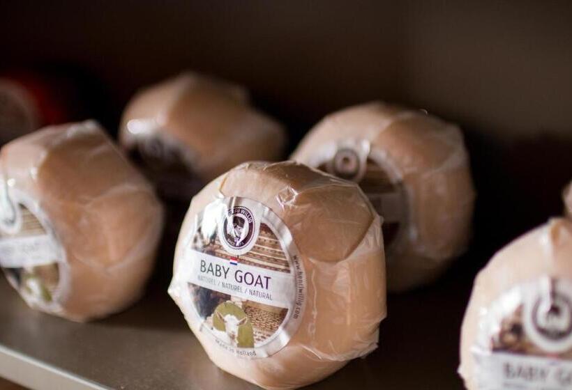 Citiez Hotel Amsterdam