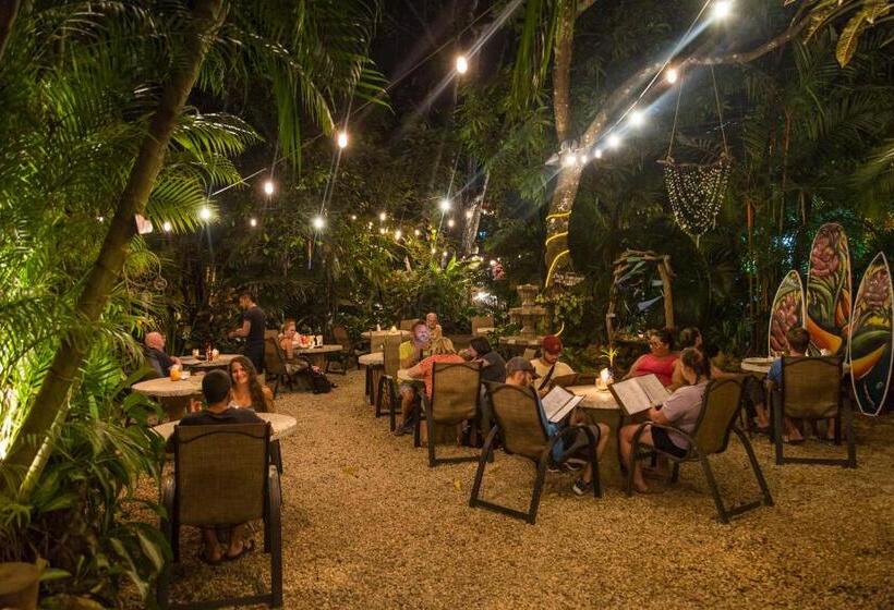 فندق El Sano Banano Beachside