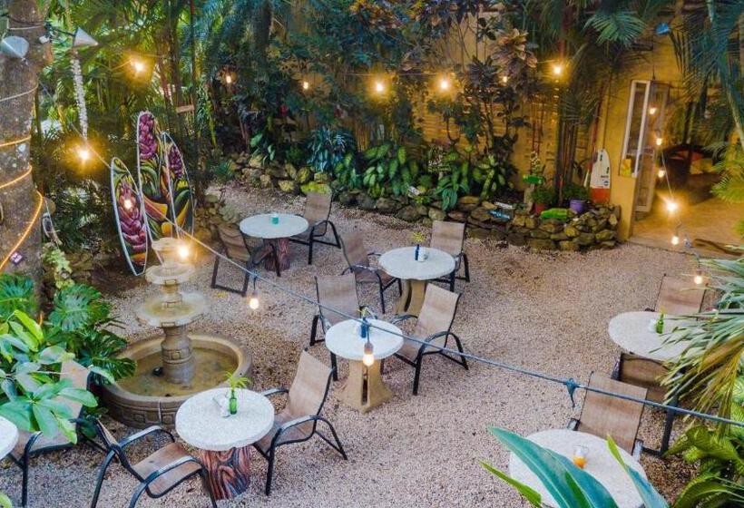 فندق El Sano Banano Beachside