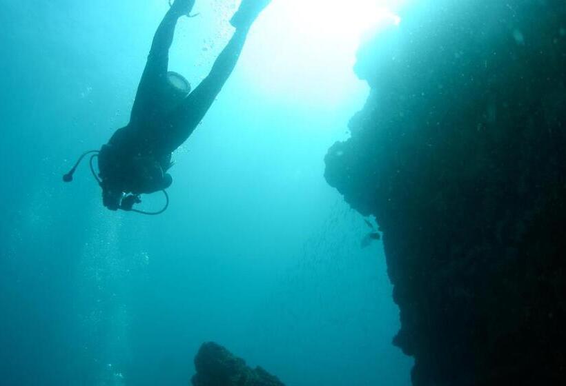 فندق El Sano Banano Beachside