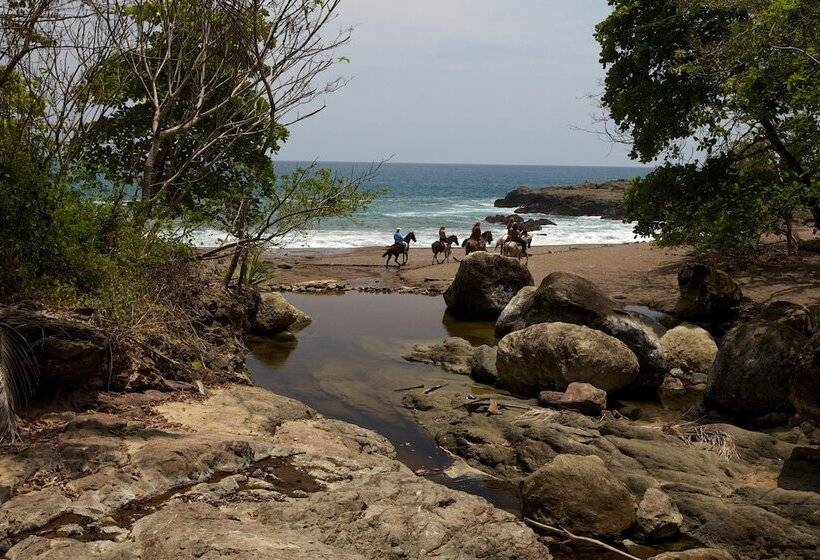 فندق El Sano Banano Beachside