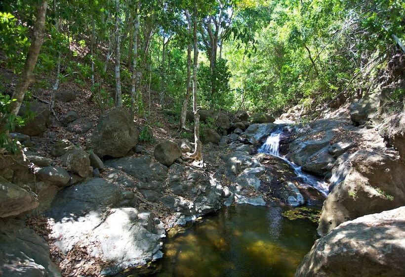 فندق El Sano Banano Beachside