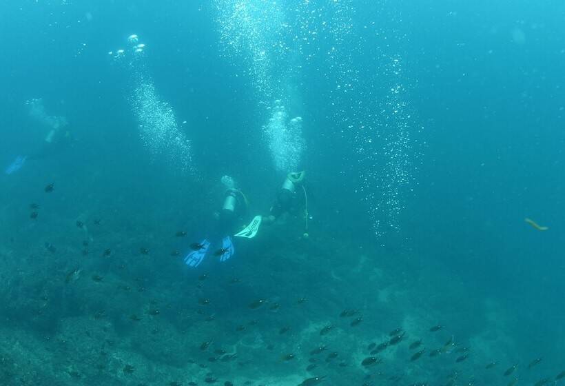 فندق El Sano Banano Beachside