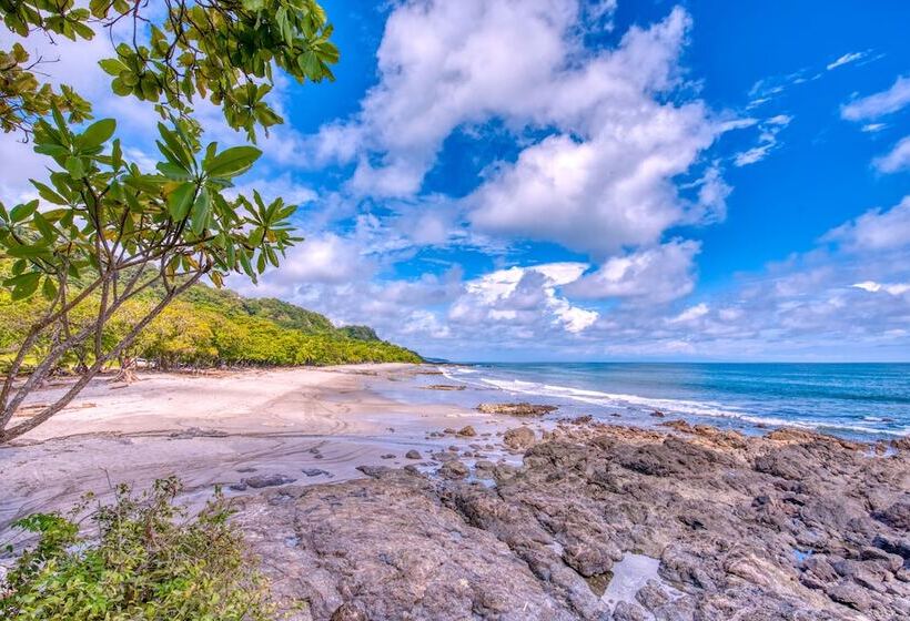 فندق El Sano Banano Beachside