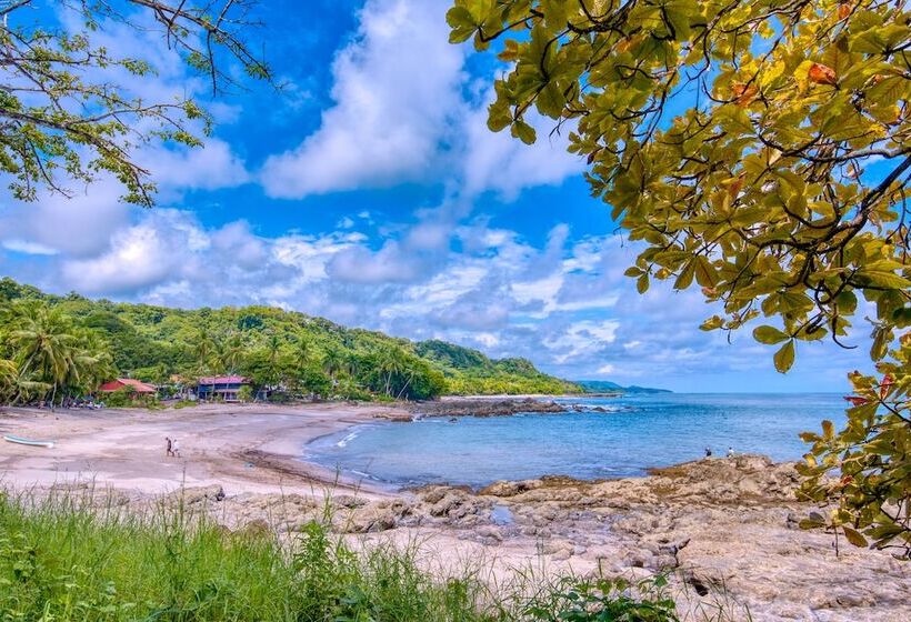 فندق El Sano Banano Beachside