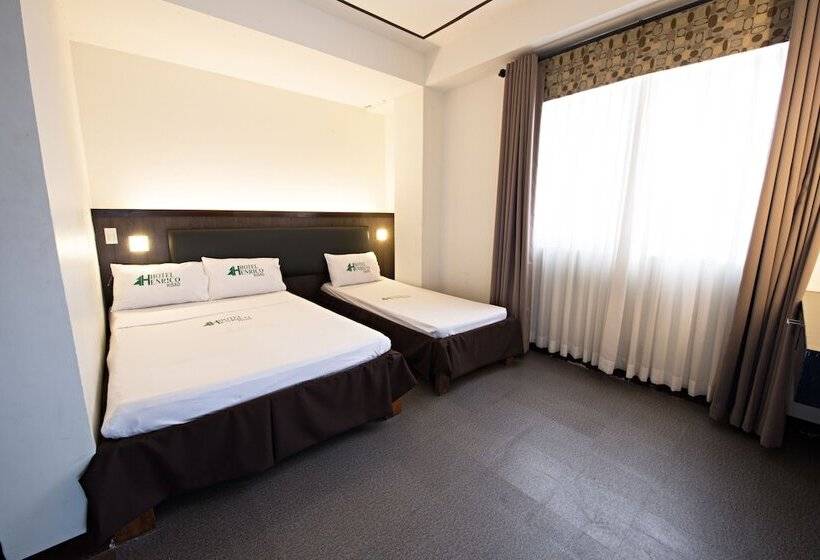 هتل Henrico  Kisad