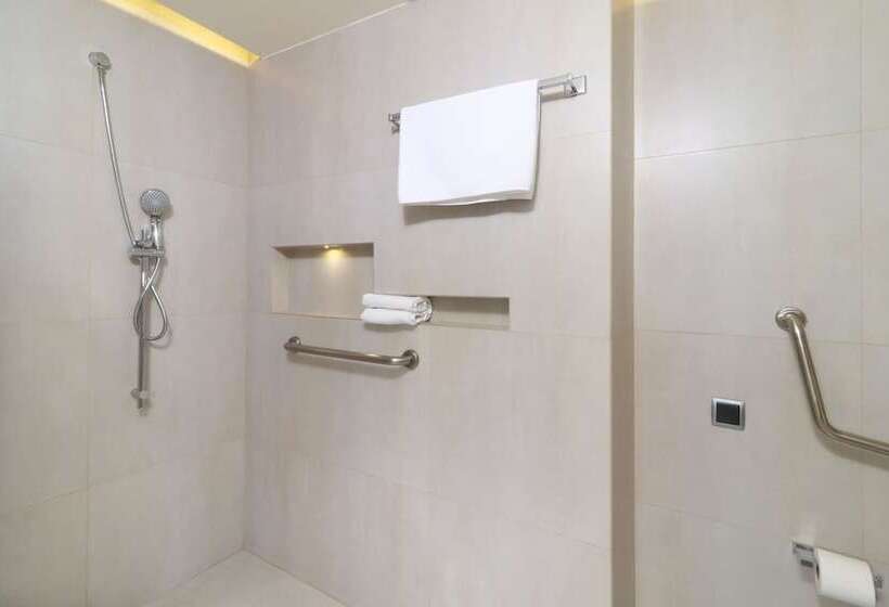 ホテル Holiday Inn Express Mexico Aeropuerto, An Ihg