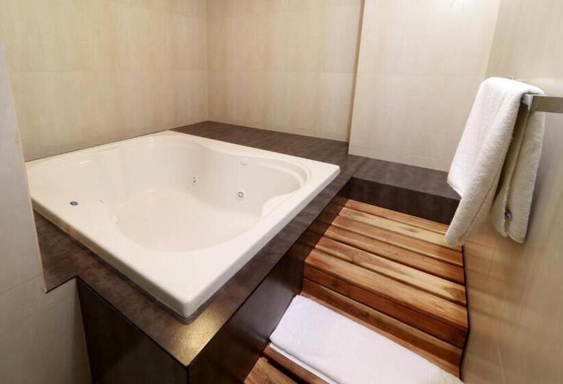 ホテル Holiday Inn Express Mexico Aeropuerto, An Ihg