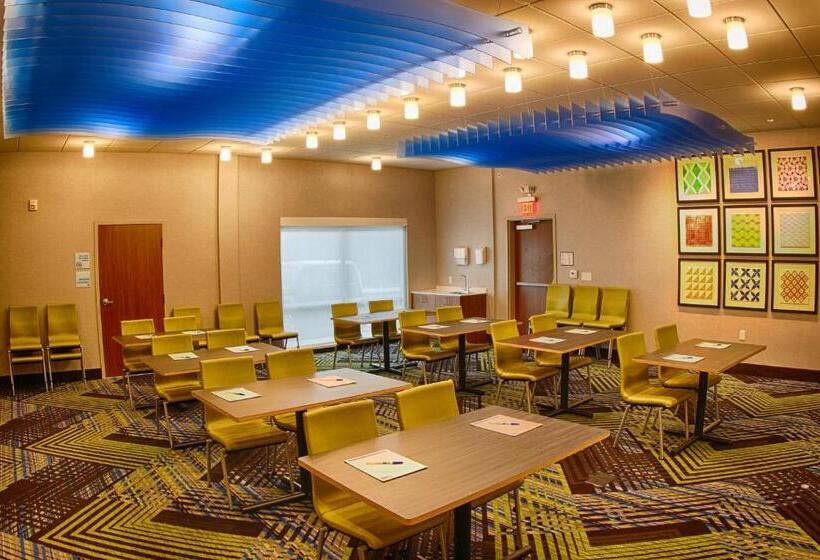 酒店 Holiday Inn Express & Suites   Detroit Northwest   Livonia, An Ihg