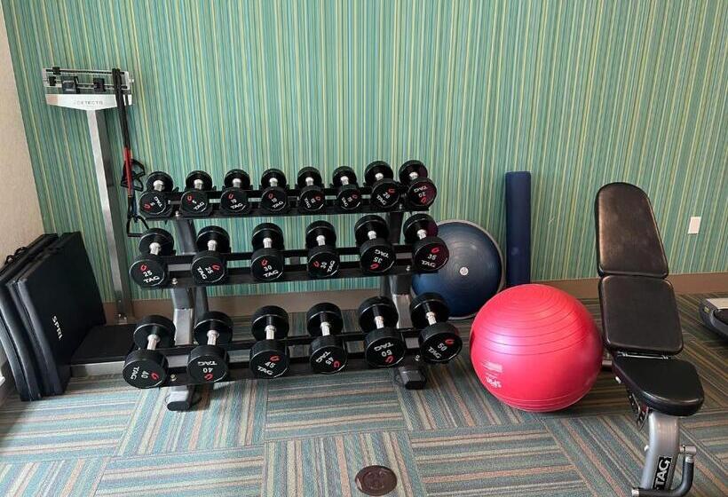 ホテル Holiday Inn Express & Suites   Detroit Northwest   Livonia, An Ihg