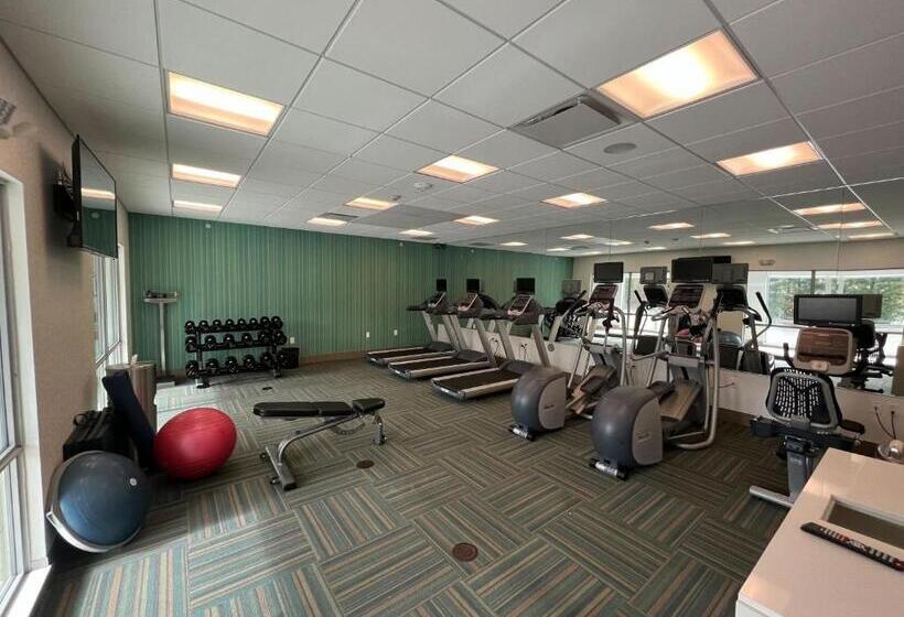 בית מלון כפרי Holiday Inn Express & Suites   Detroit Northwest   Livonia, An Ihg