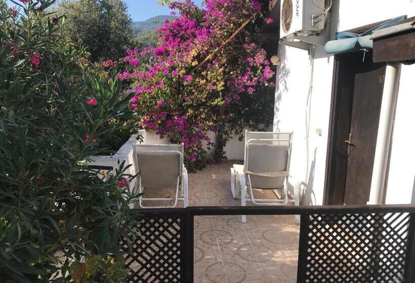 בית מלון כפרי Kano