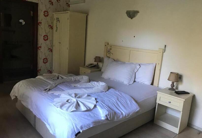 בית מלון כפרי Kano