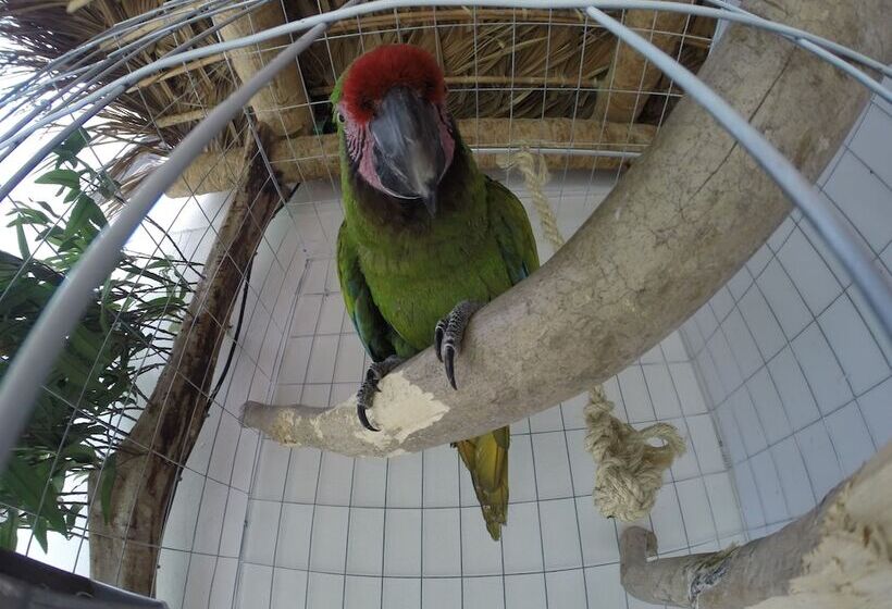 هتل Kiramar Los Peyotes