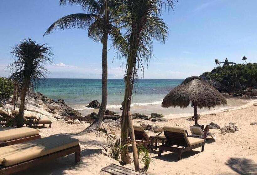 هتل Maria Del Mar Tulum   Adults Only