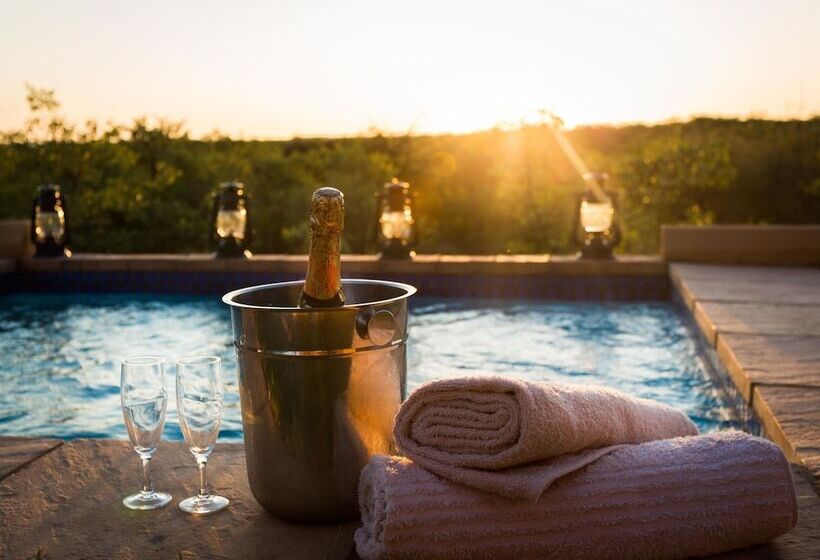 호텔 Mopane Bush Lodge