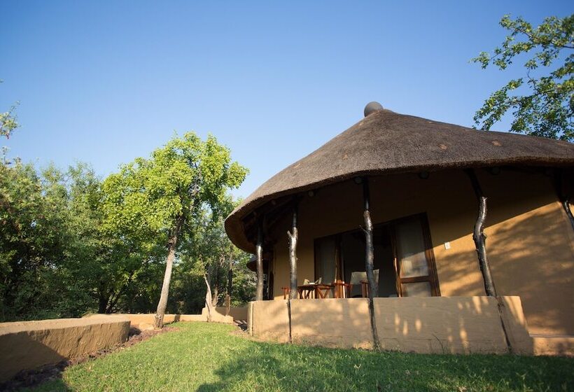 호텔 Mopane Bush Lodge