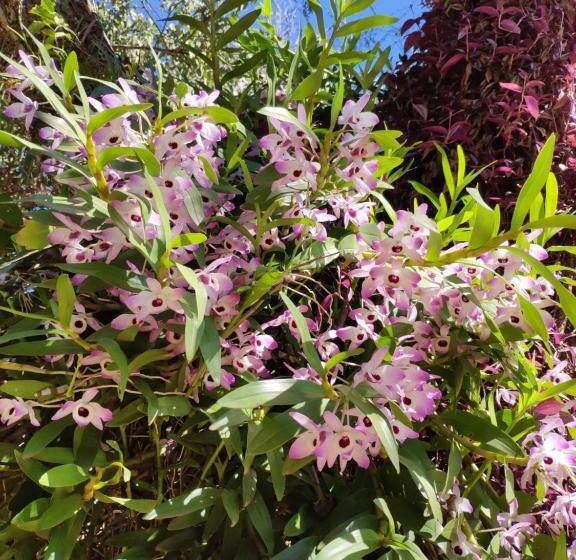 בית מלון כפרי Posada 21 Oranges