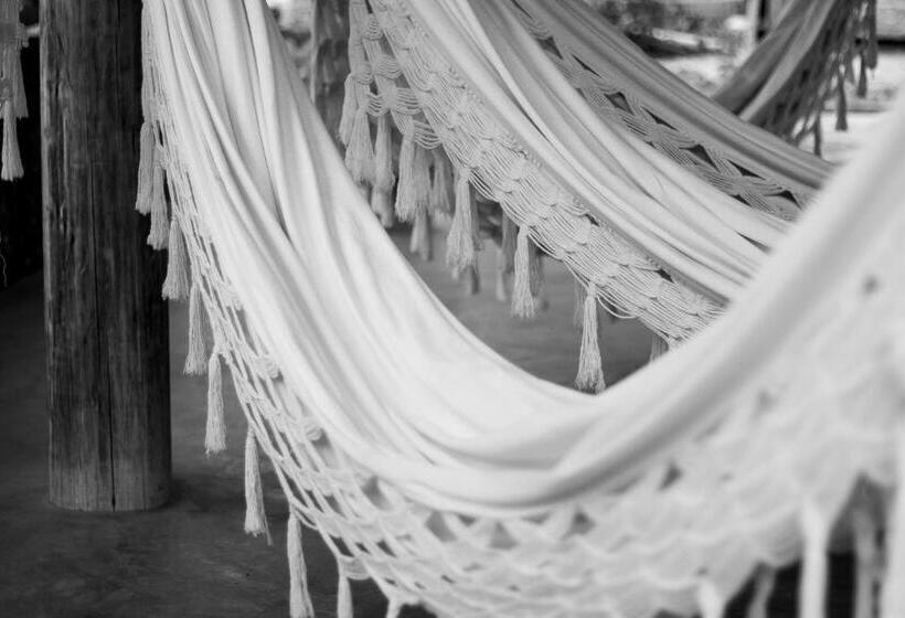 酒店 Pousada Barra Velha