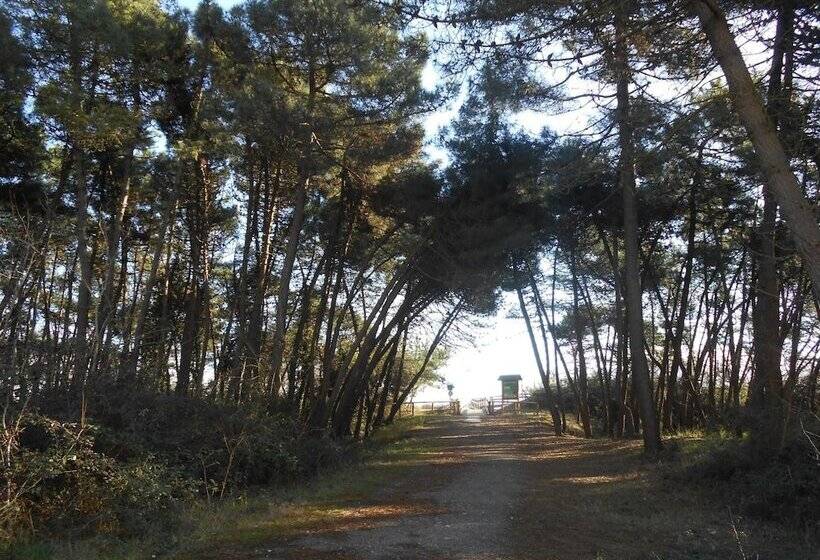 호텔 Residence Villa Marina