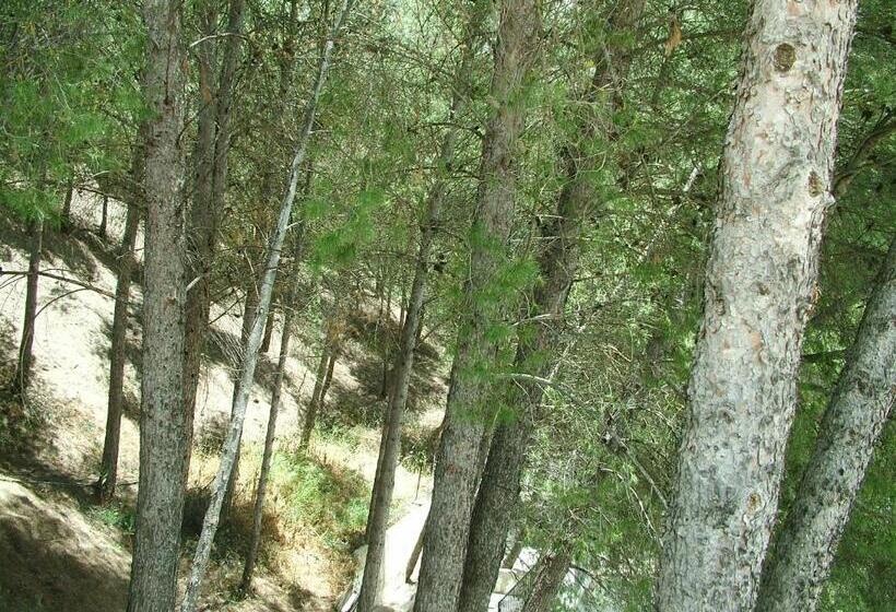 فندق Río Piscina