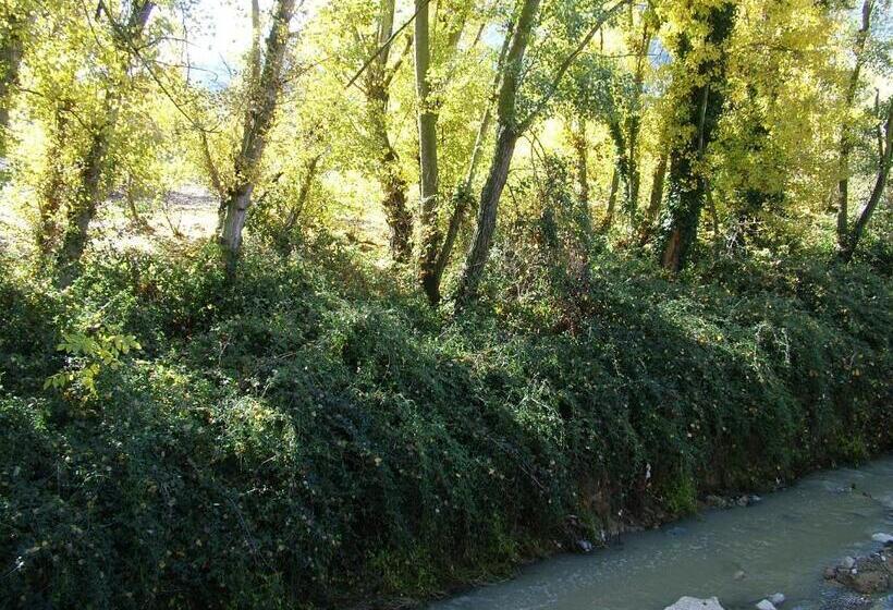 فندق Río Piscina