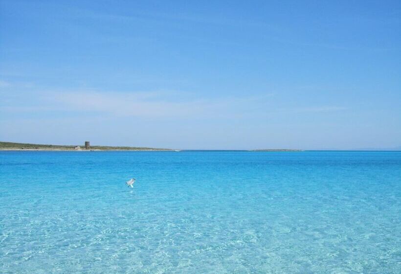 فندق Silvestrino