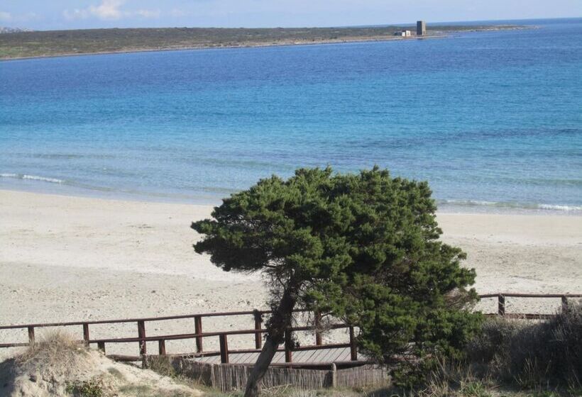 فندق Silvestrino