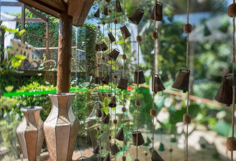 酒店 Teju Açu Ecopousada