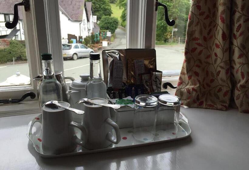 ホテル The Hand At Llanarmon