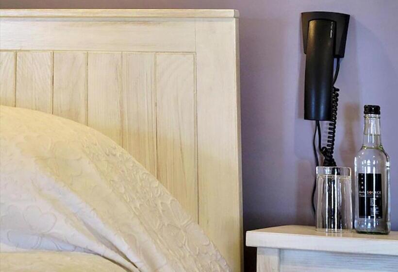 ホテル The Hand At Llanarmon