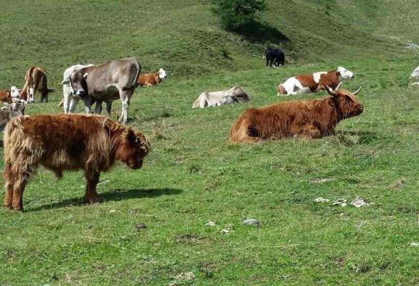 בית מלון כפרי Torretta