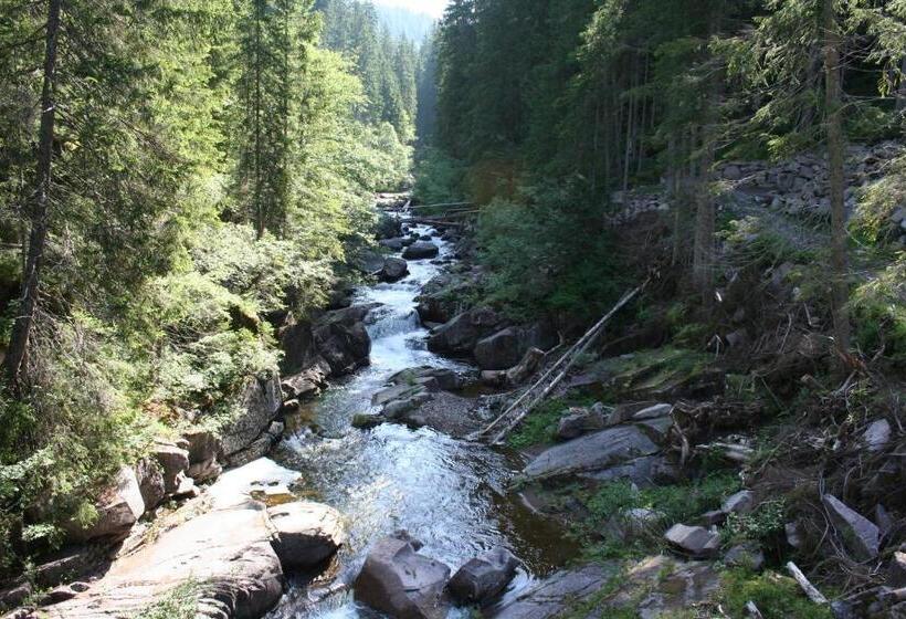 בית מלון כפרי Torretta