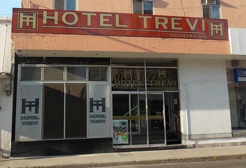 בית מלון כפרי Trevi